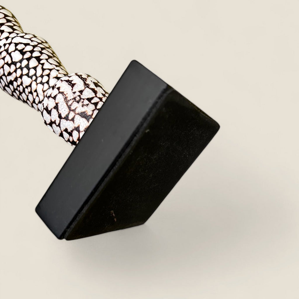 Papua tiger shell with veren on stand（5 shell)