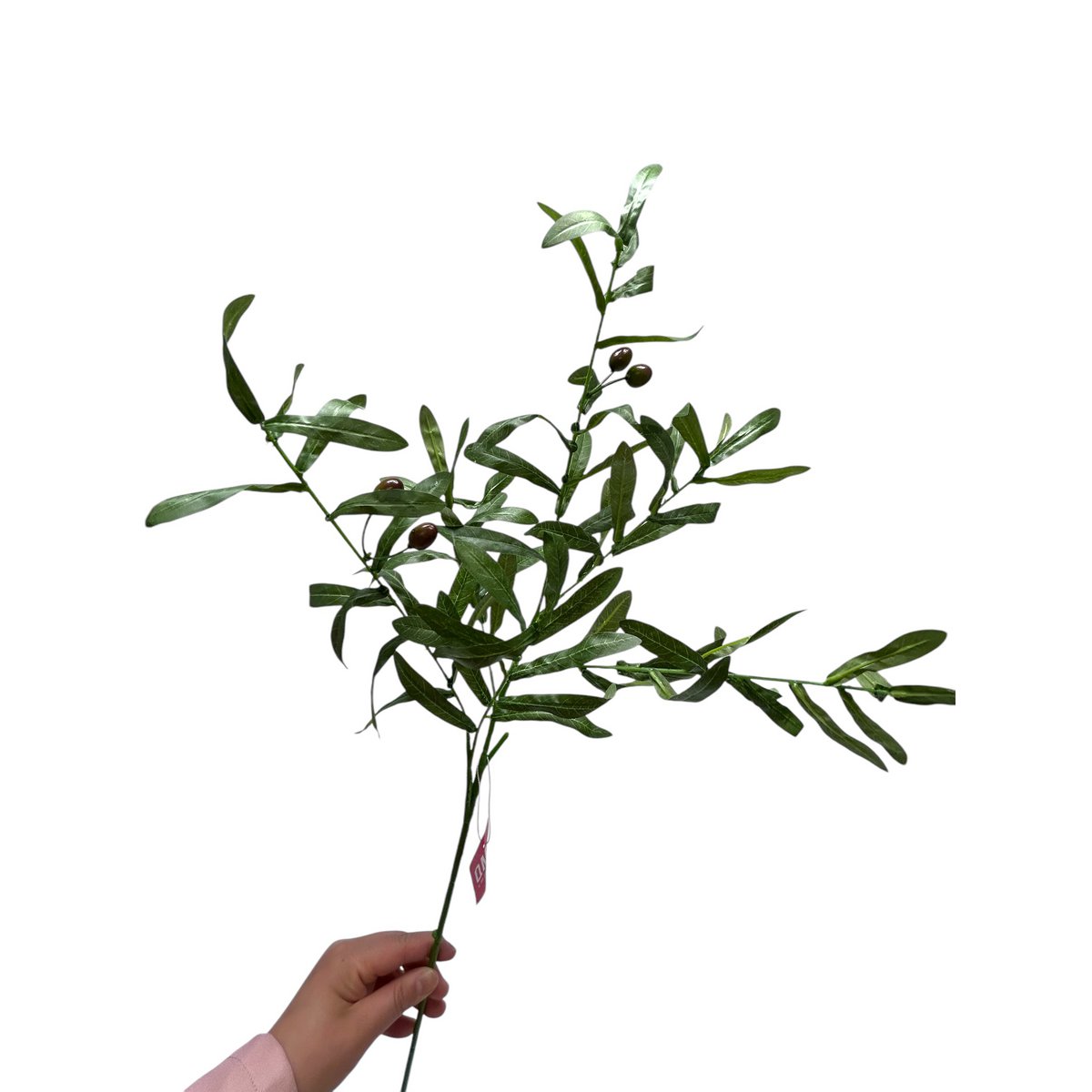 Canarium album | Zijden kunstbloem | Lengte 75 1pcs