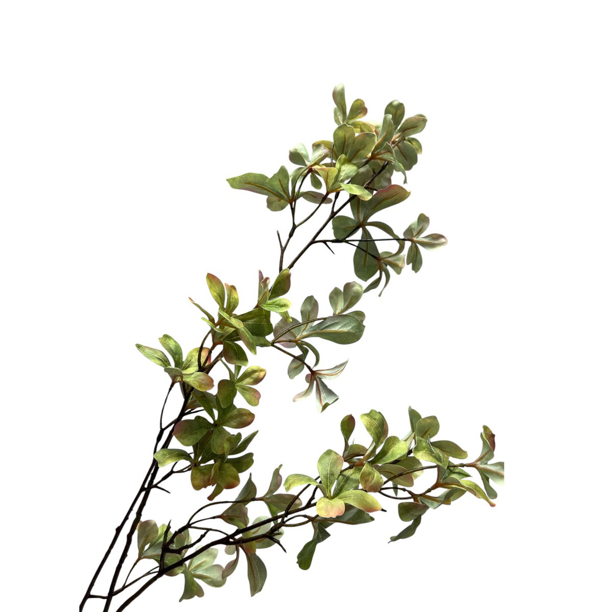 Tropaeolum speciosum Light Yellow | Zijden kunstbloem | Lengte 110 1pcs