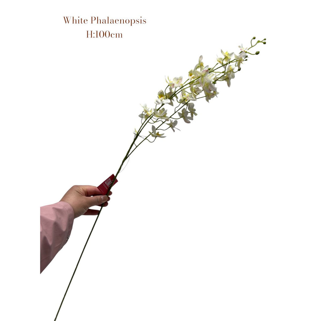 White Phalaenopsis | Zijden kunstbloem | Lengte 100 1pcs