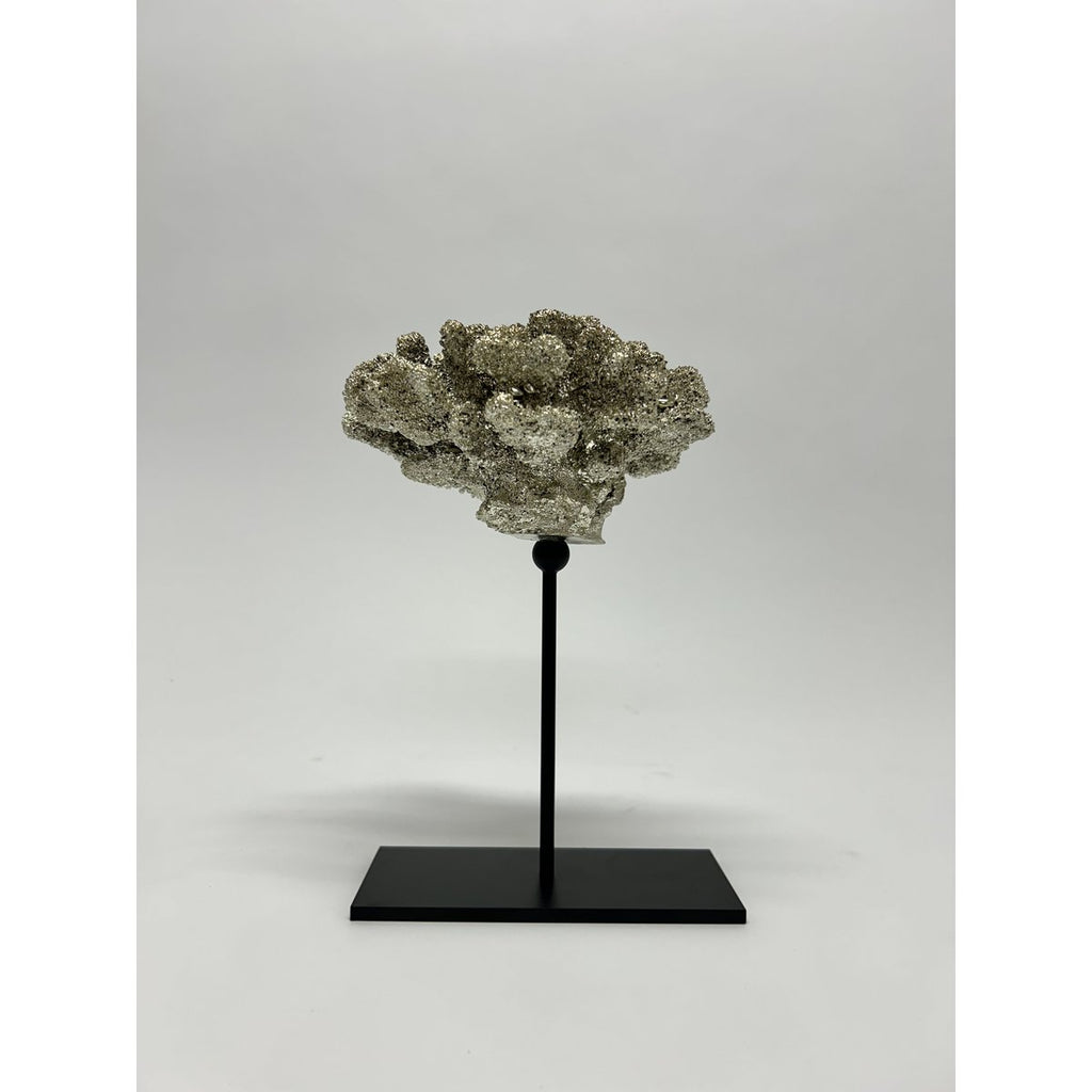 Coral collectie met metalen standaard ( champagnekleur)