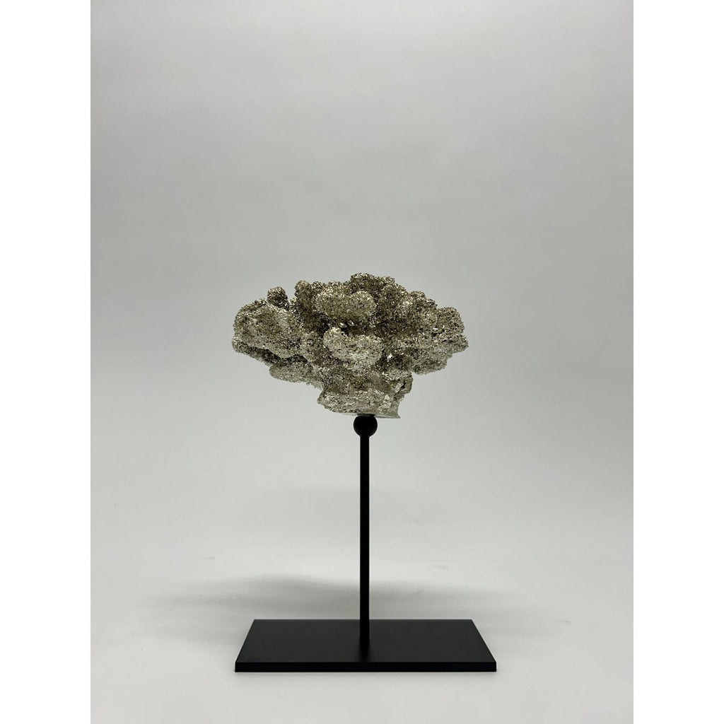 Coral collectie met metalen standaard ( champagnekleur)