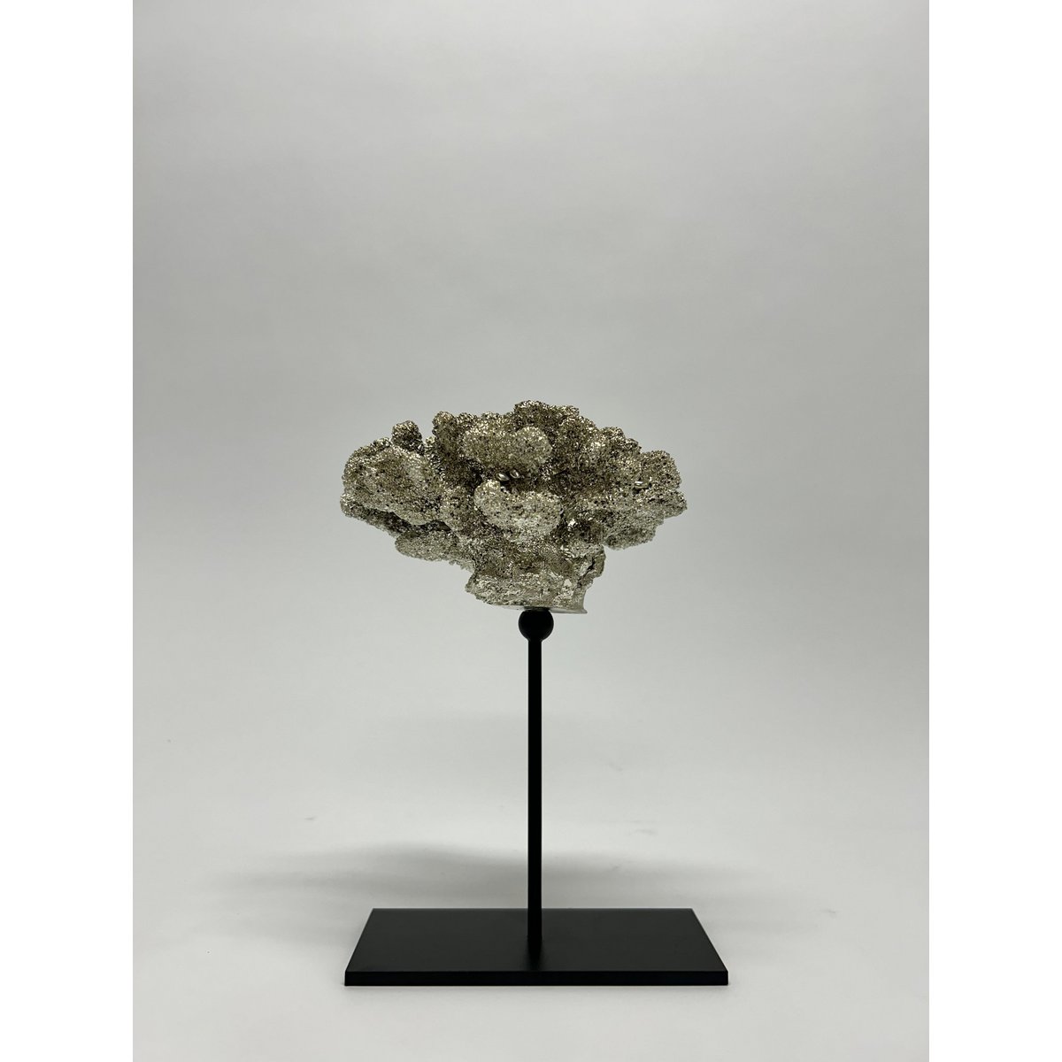 Coral collectie met metalen standaard ( champagnekleur)