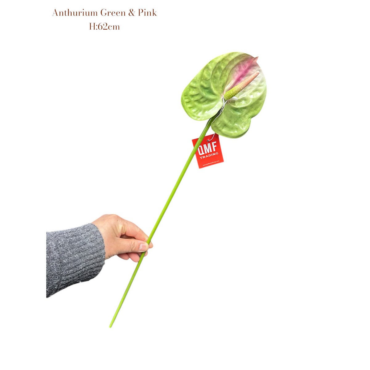 Anthurium Green & Pink    | Zijden kunstbloem | Lengte 62 1pcs