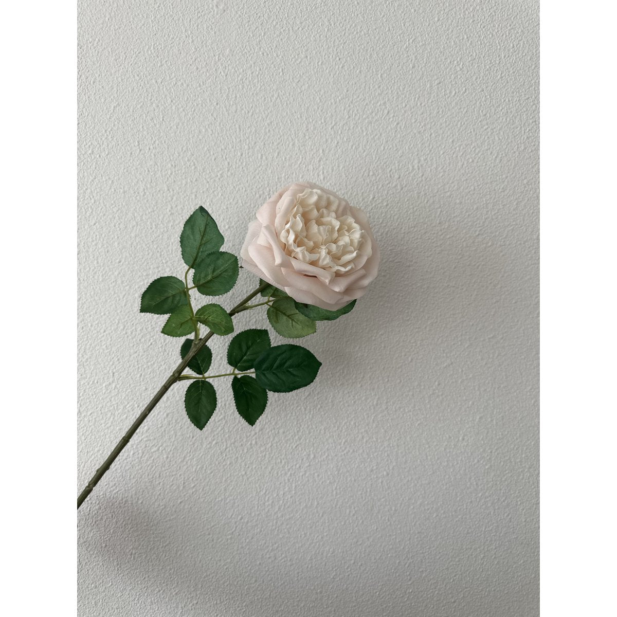 QMF Touch Rose 65cm Light pink 2PCS