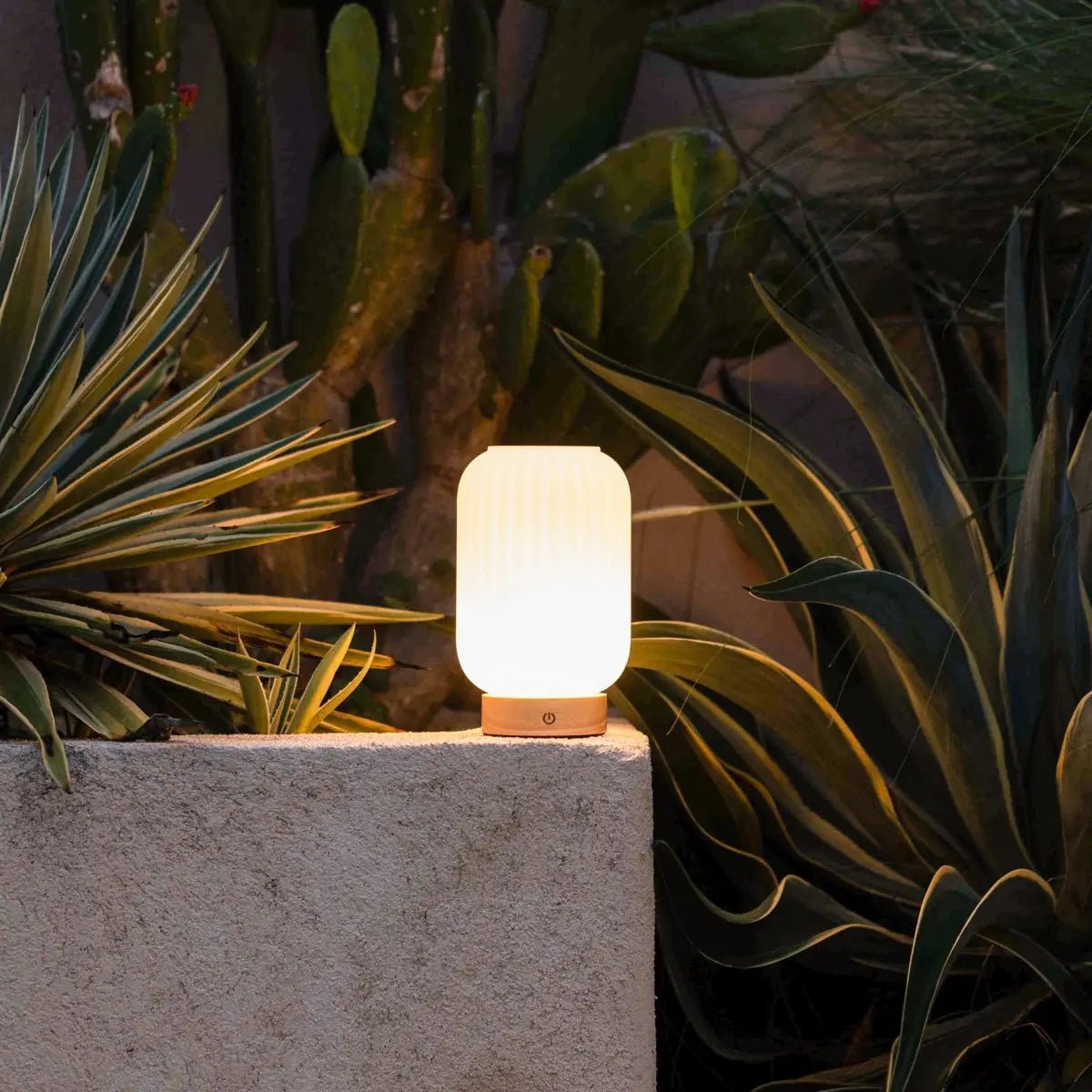 Unieke oplaadbare lamp Lilly – matglas en houten voet, dimbaar, 3 lichtmodi