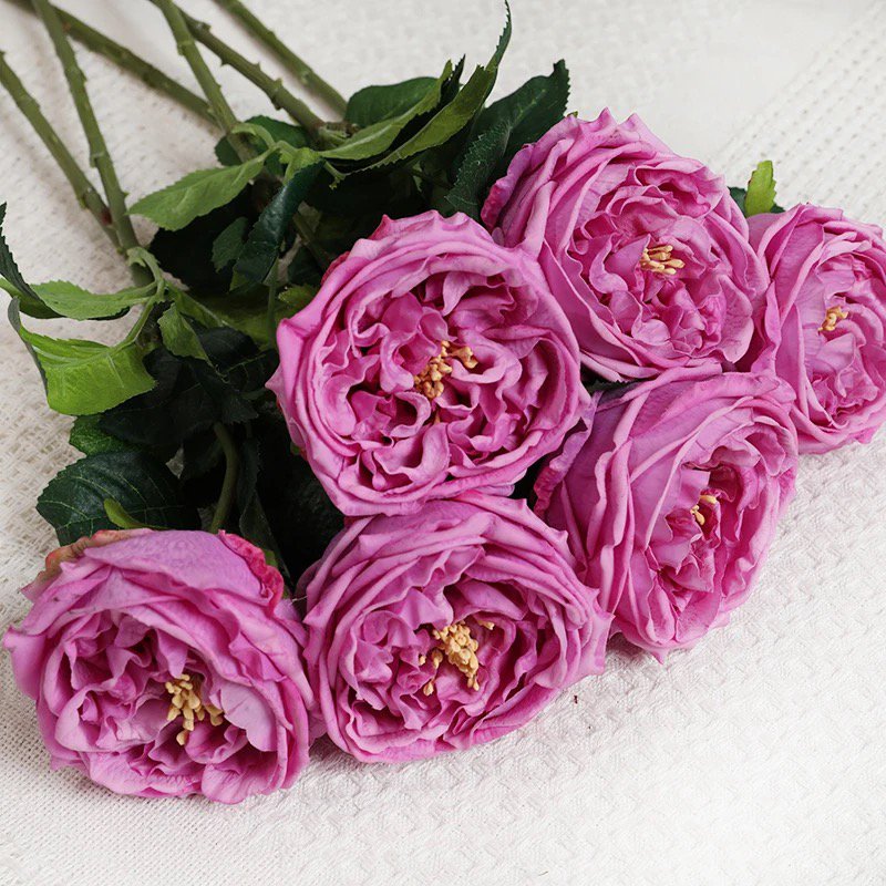 Enkele tak handgevoelde Austin roos 72cm hoog- lichtpaars