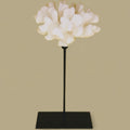 Koraalcollectie met metalen standaard -L-maat: H29cm B15cm D15cm