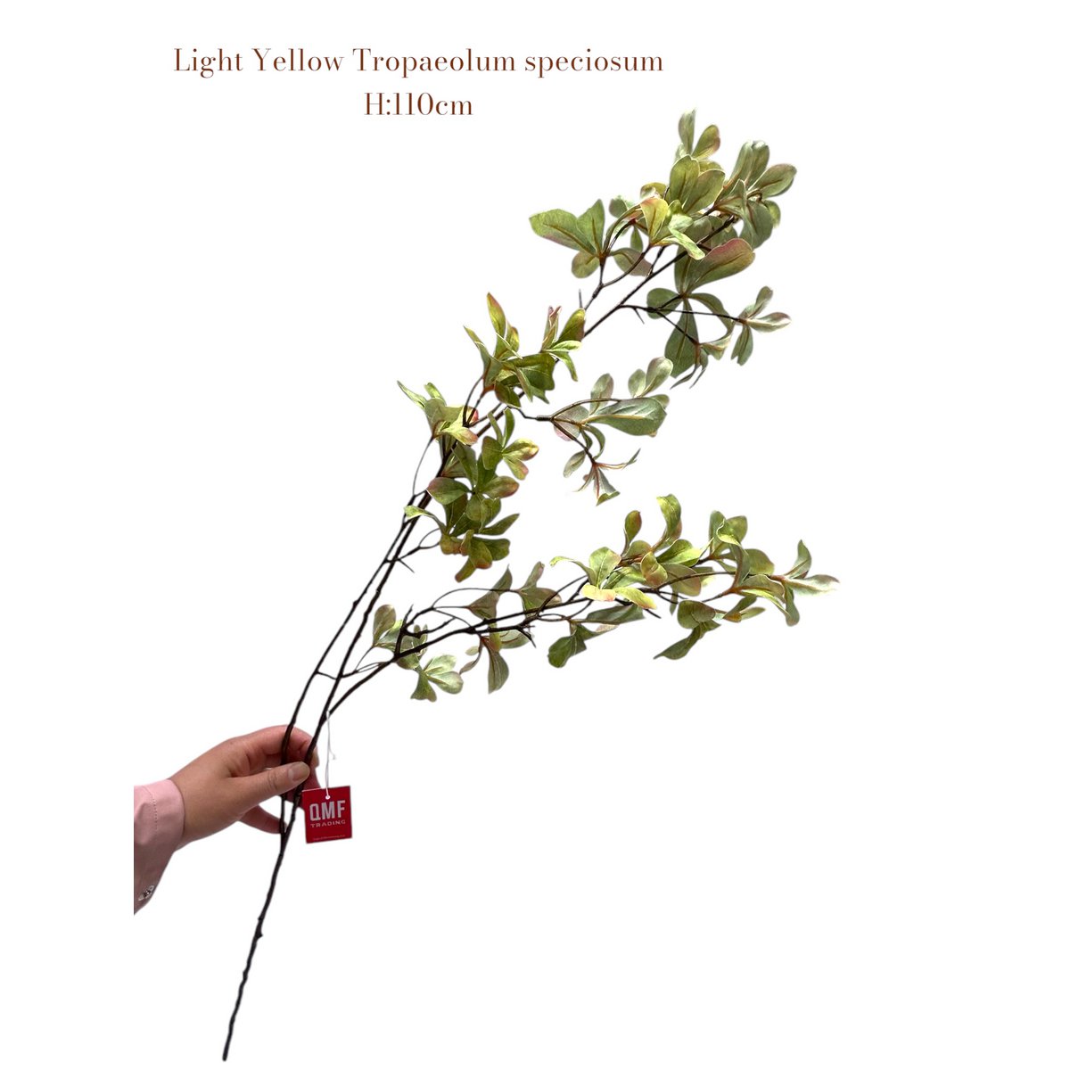 Tropaeolum speciosum Light Yellow | Zijden kunstbloem | Lengte 110 1pcs