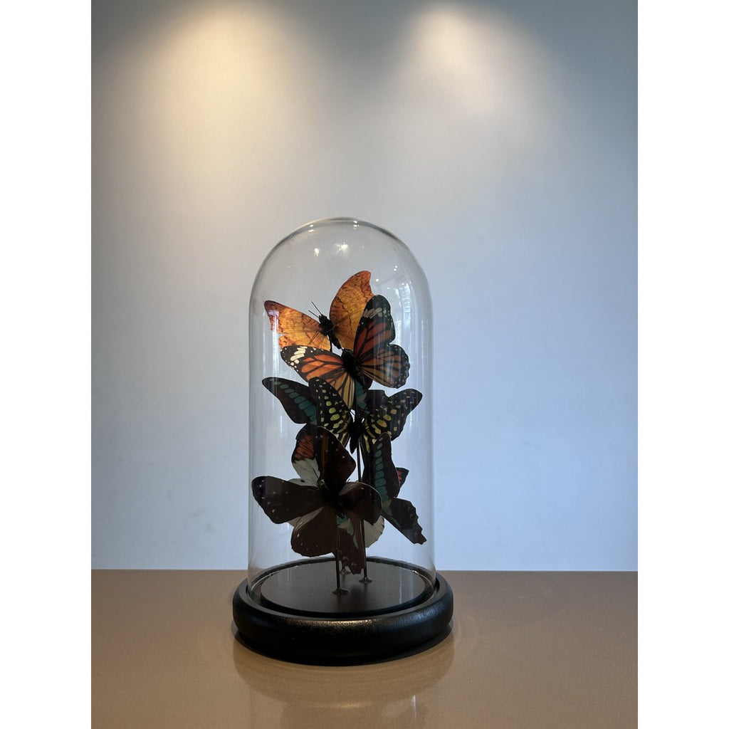 Five vlinder 11 * 32.5cm （YF-09）