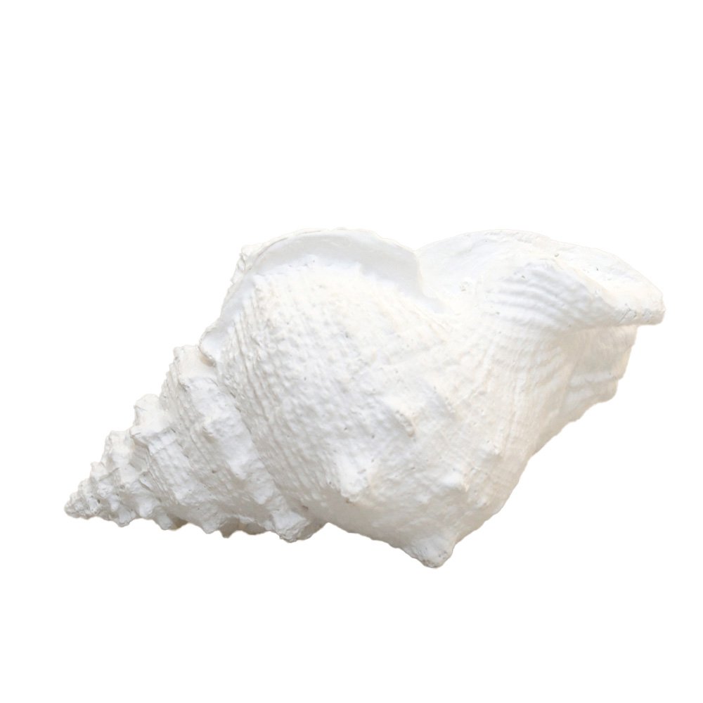 Decoratieve witte schaal 25x17x13cm