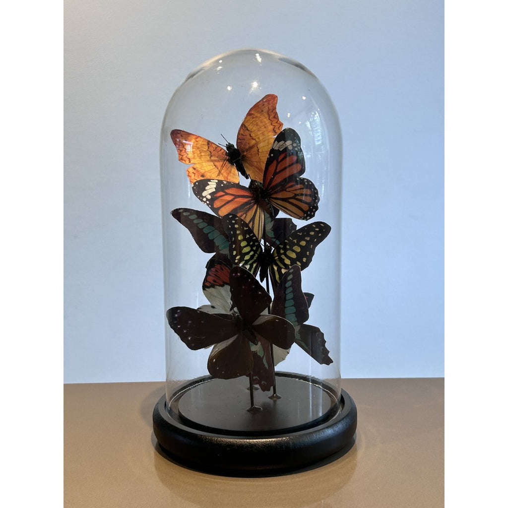 Five vlinder 11 * 32.5cm （YF-09）