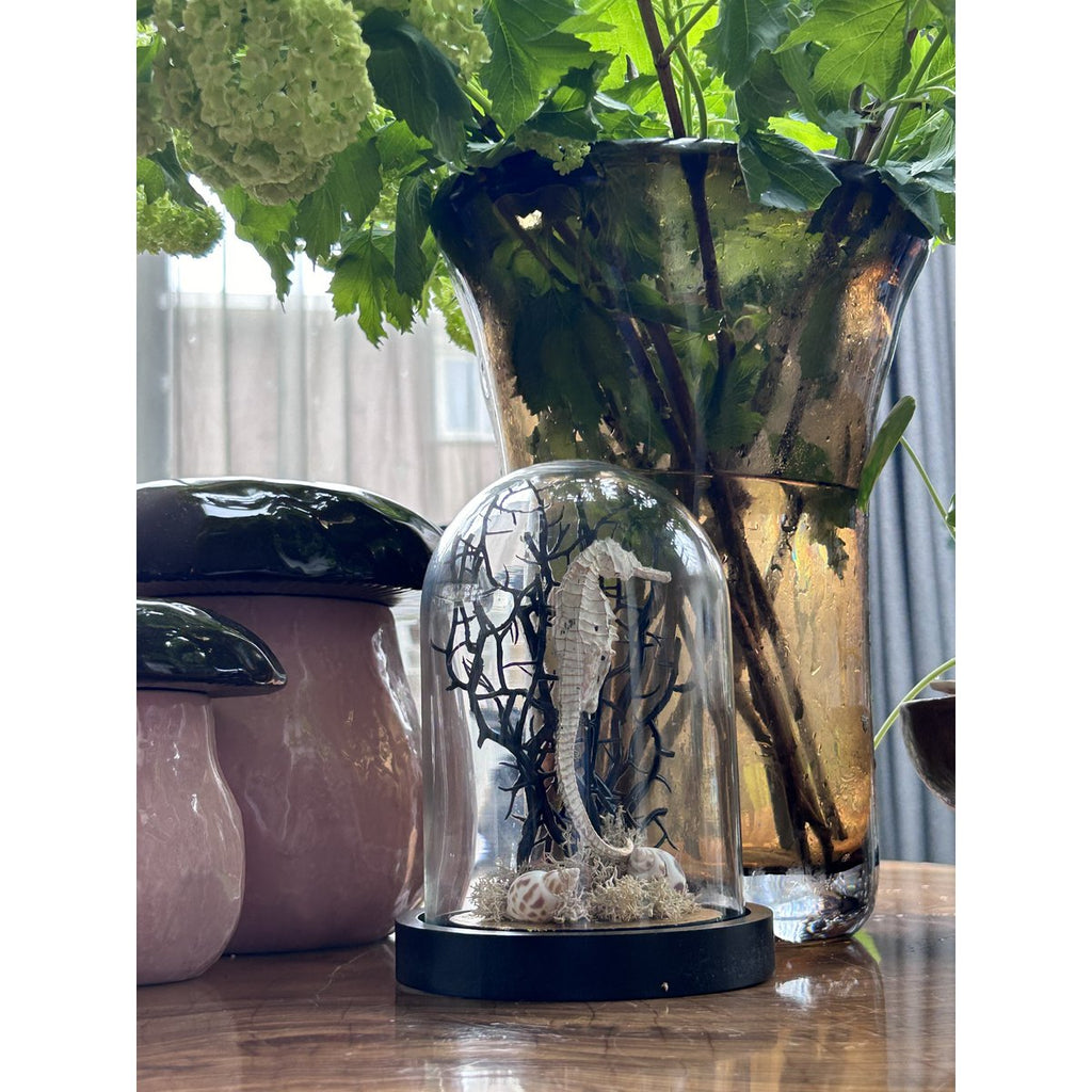 Zeepaardje Stolp(YF-05)