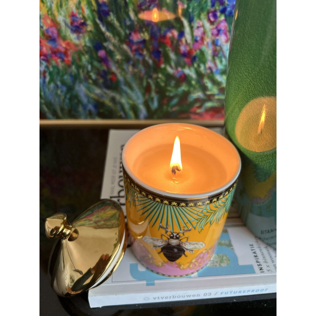 Home Kaarsen Pot klimop natuurlijke plantengeur