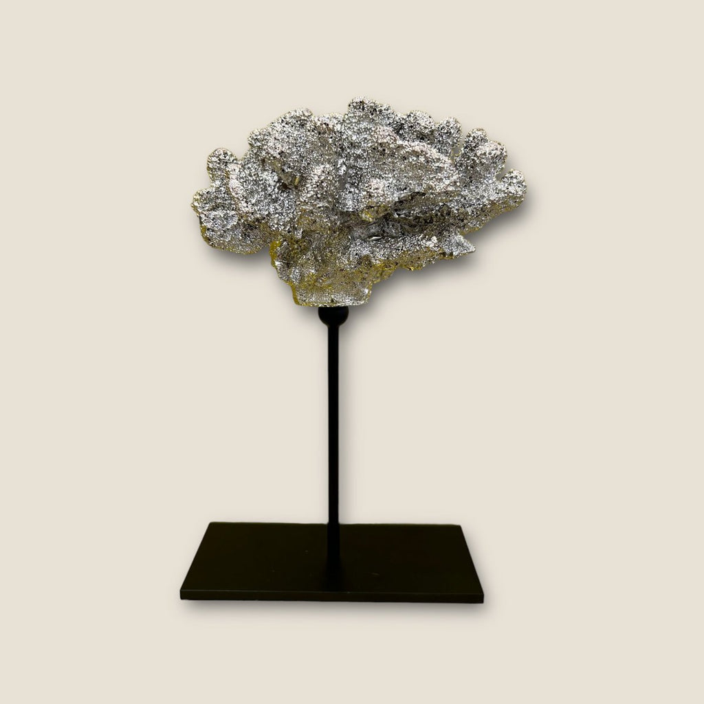 Coral collectie met metalen standaard ( champagnekleur)