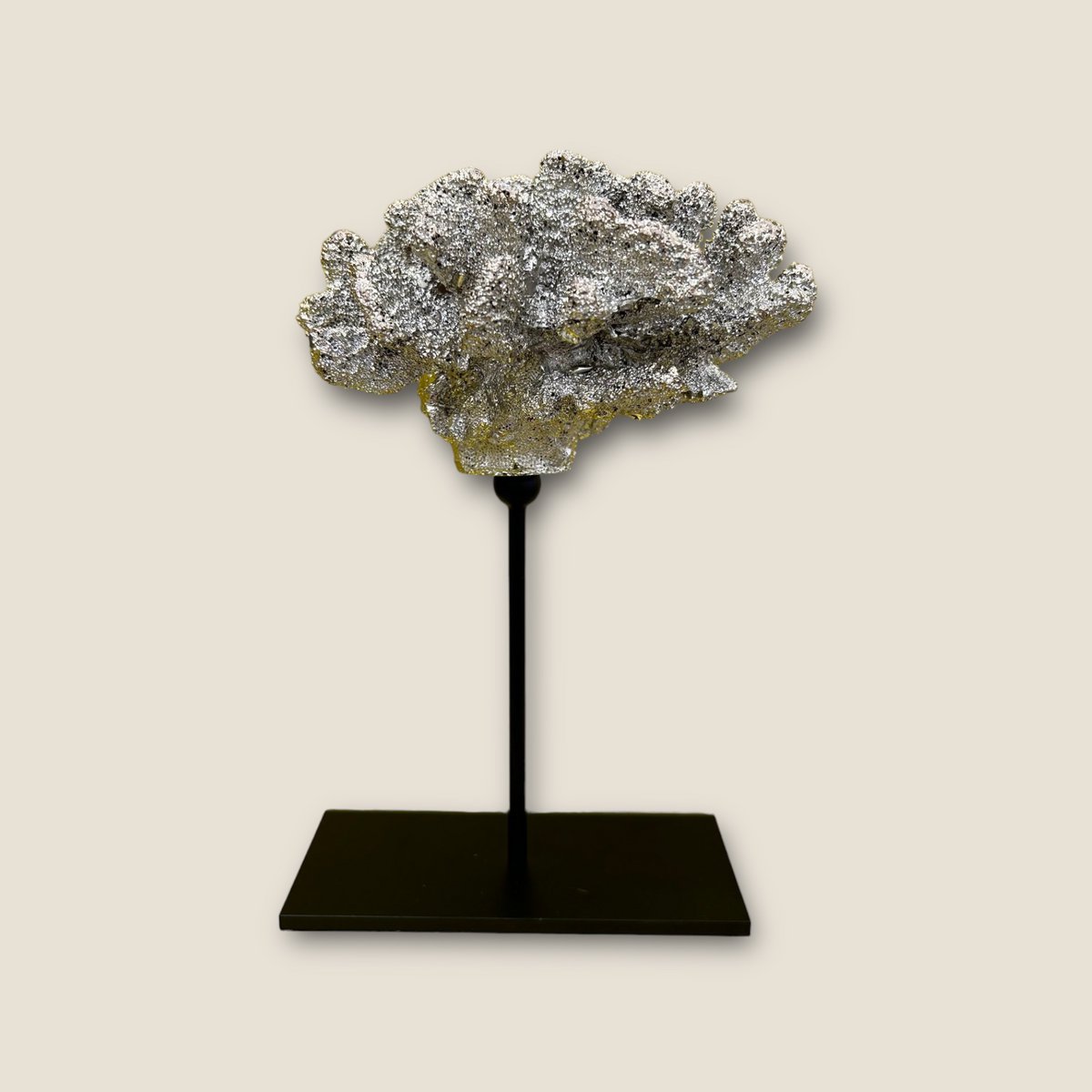 Coral collectie met metalen standaard ( champagnekleur)