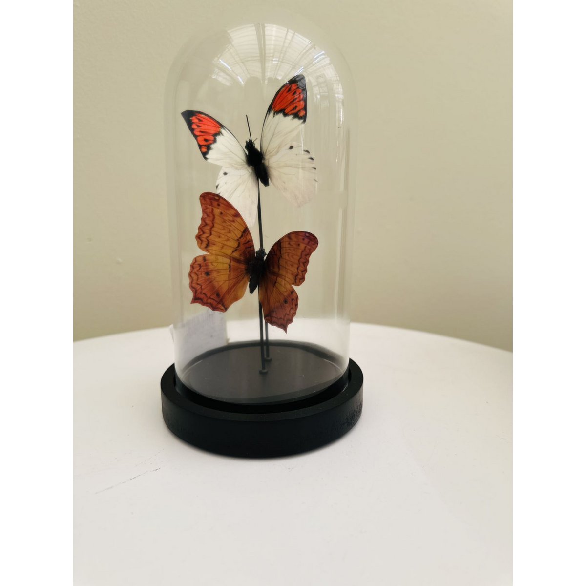 two vlinder 11 * 21cm （YF-08）