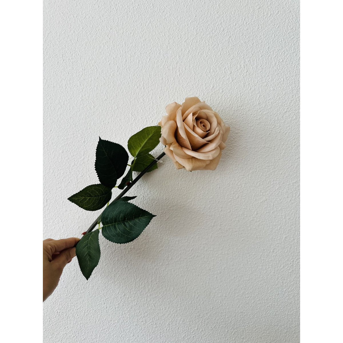 QMF Hand Touch Rose72cm Champagne 2PCS