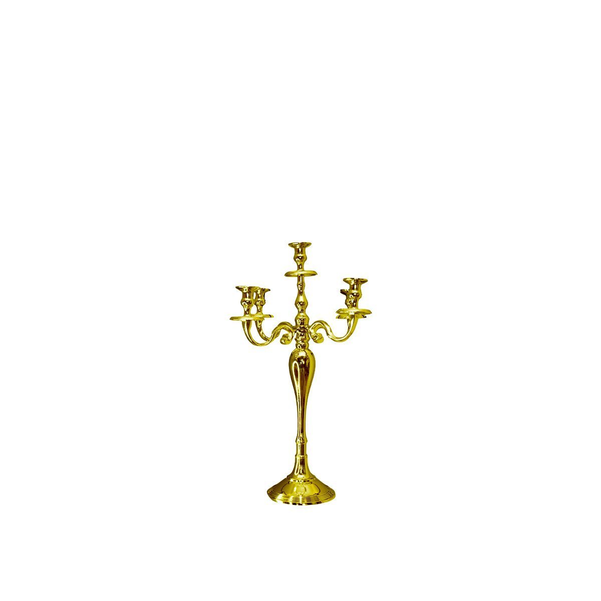 Batterij 5 gouden lichten 40 cm