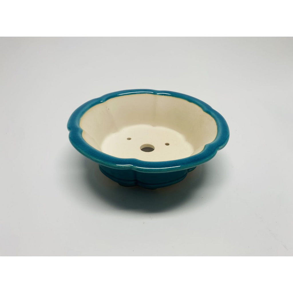 20cm premium geglazuurde bonsaipot met bloemen 20cm premium geglazuurde bonsaipot met bloemen.Afmetingen: L*20cm*20cm*10cm