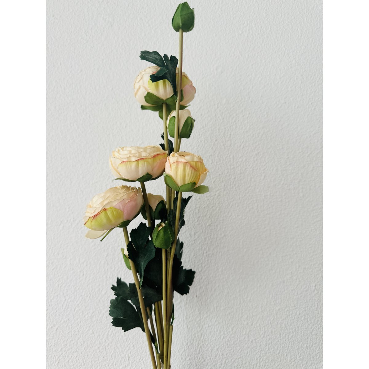 Scabiosa | kunstbloem | Lengte 55cm wit